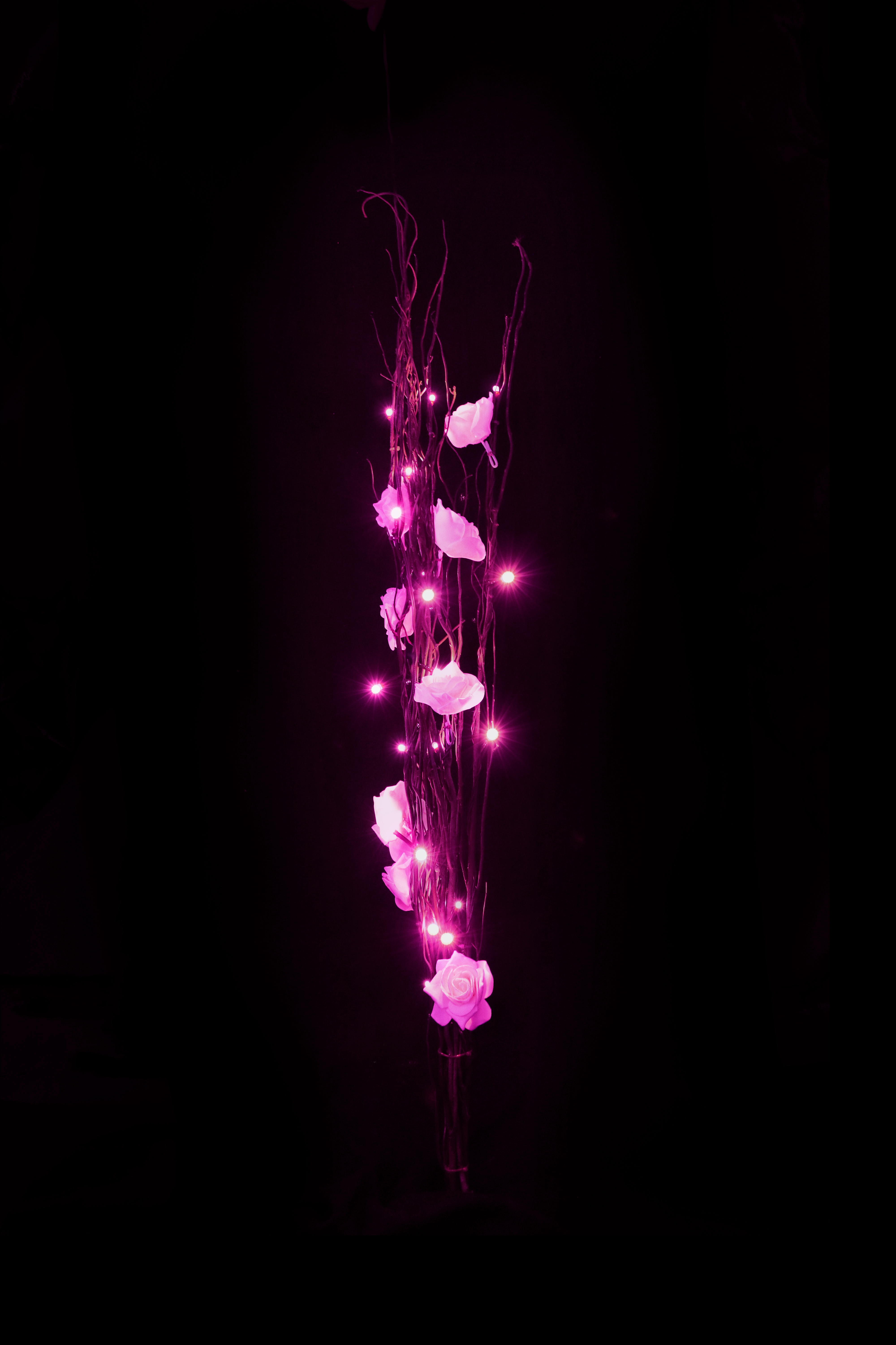 LED růže - pink A719F